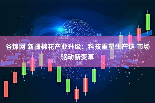谷锦网 新疆棉花产业升级：科技重塑生产链 市场驱动新变革