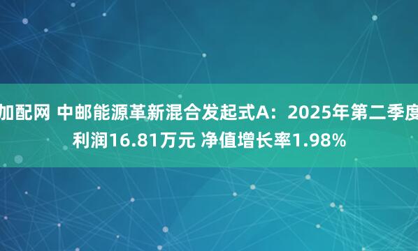 加配网 中邮能源革新混合发起式A：2025年第二季度利润16.81万元 净值增长率1.98%