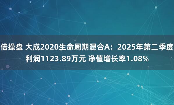 倍操盘 大成2020生命周期混合A：2025年第二季度利润1123.89万元 净值增长率1.08%