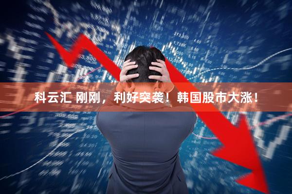 科云汇 刚刚，利好突袭！韩国股市大涨！