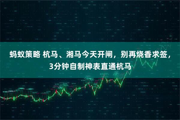 蚂蚁策略 杭马、湘马今天开闸，别再烧香求签，3分钟自制神表直通杭马