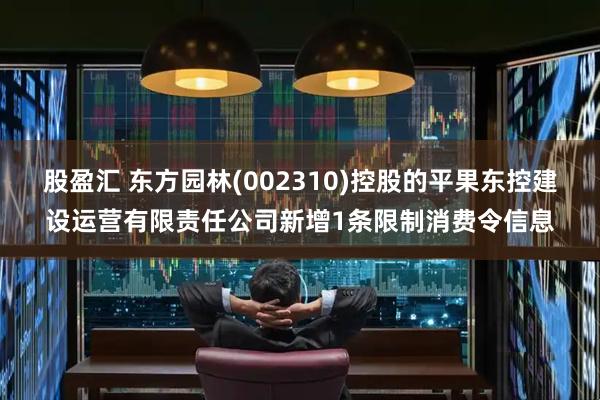 股盈汇 东方园林(002310)控股的平果东控建设运营有限责任公司新增1条限制消费令信息
