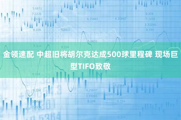金领速配 中超旧将胡尔克达成500球里程碑 现场巨型TIFO致敬