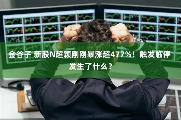 金谷子 新股N超颖刚刚暴涨超477%！触发临停 发生了什么？