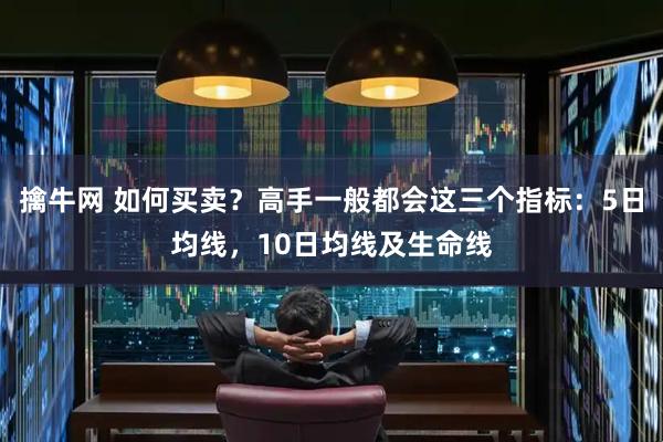 擒牛网 如何买卖?高手一般都会这三个指标:5日均线,10日均线及生命线