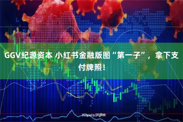 GGV纪源资本 小红书金融版图“第一子”,拿下支付牌照!